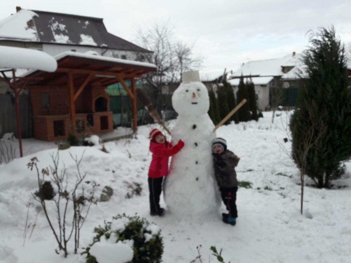 Pensiunea Eli Sibiu Buitenkant foto